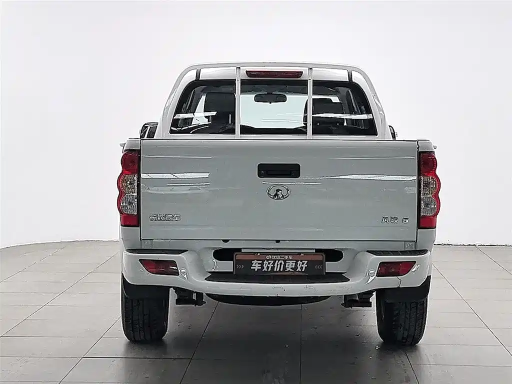 GREAT WALL FENGJUN 5