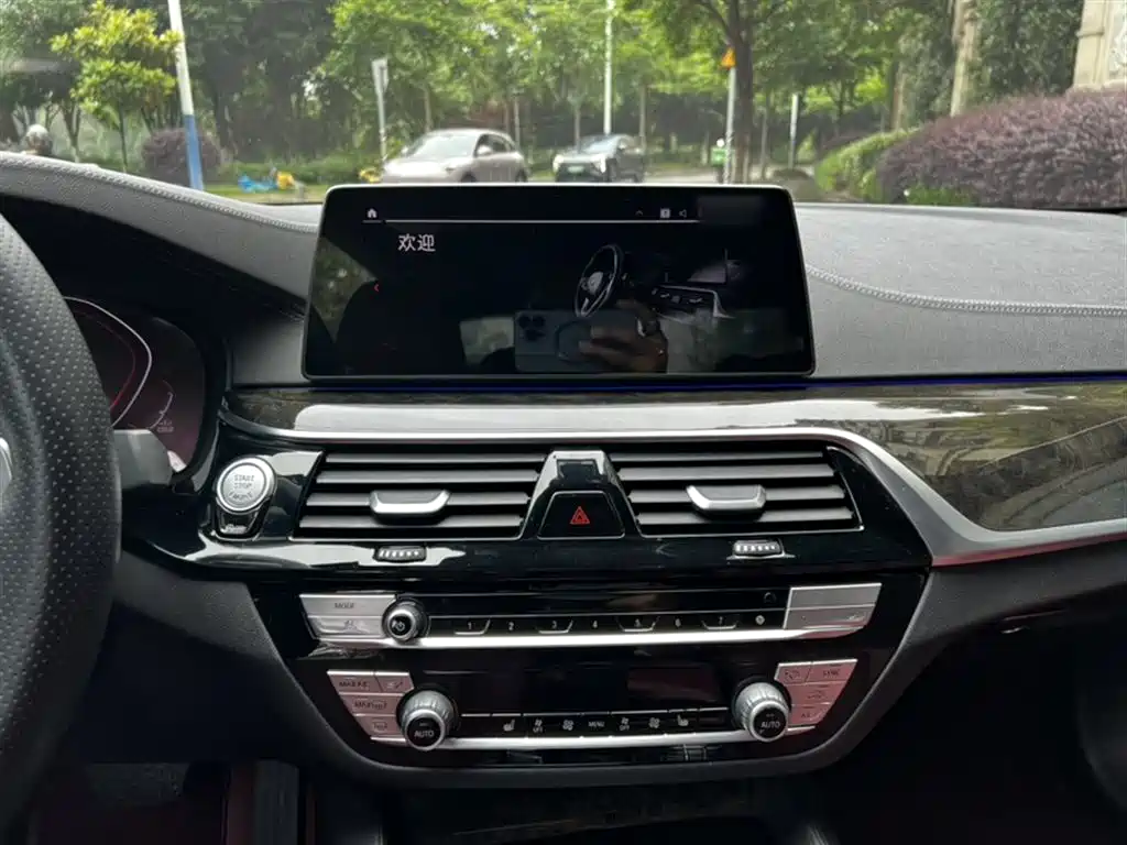 BMW 5 Series 2020 530Li Leading M Sport Package фото 21