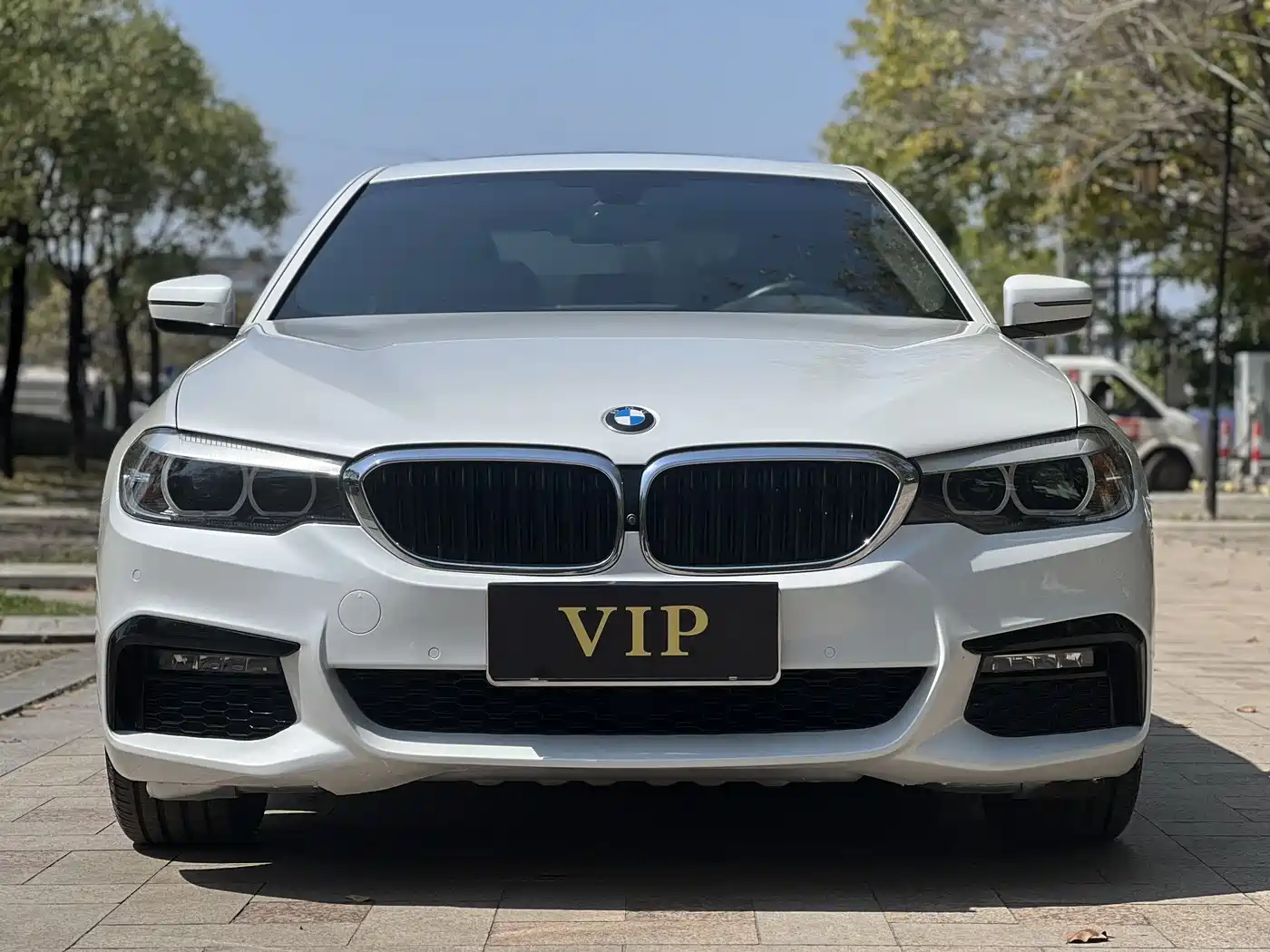 BMW 5 Series 2019 530Li Leading M Sport Package фото 4