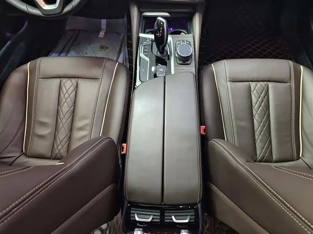 BMW 5 Series 2019 530Li Leading Luxury Package фото 15