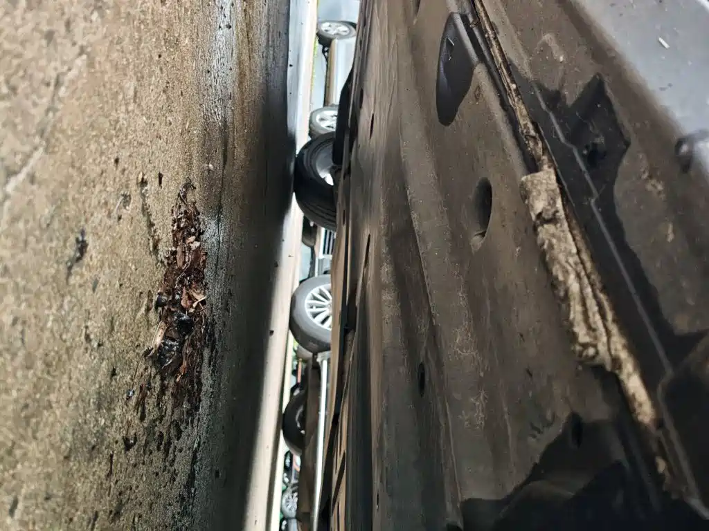 VOLKSWAGEN T-ROC EXPLORING SONGS