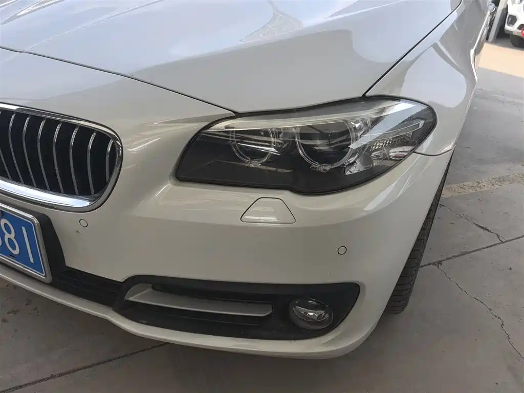 BMW 5 Series 2017 525Li Leading Edition фото 19