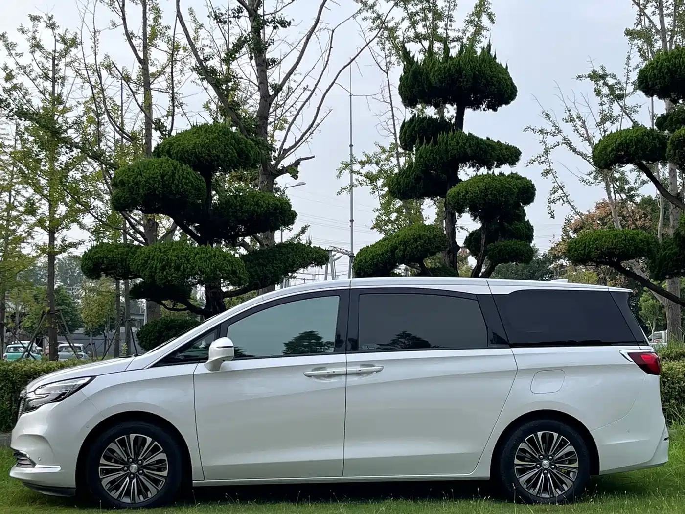 Buick GL8 2022 ES Landmark 653T Luxury фото 11