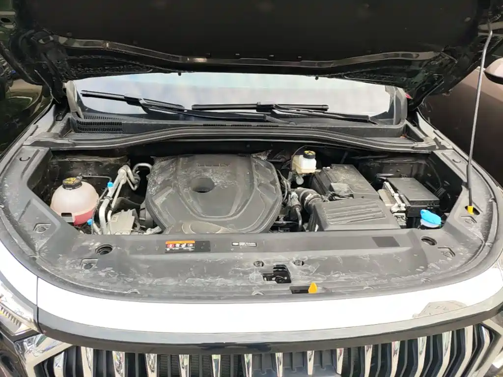 صورة 20 - Geely Haoyue L