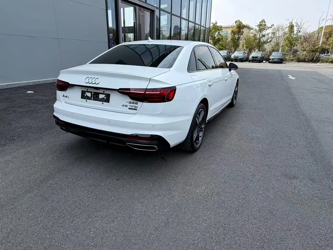 Audi A4L 2021 40 TFSI Premium Life Edition фото 9