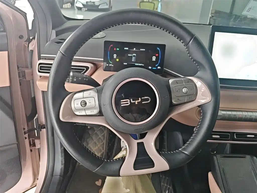 BYD Seagull 2024 Glory Edition 305km Freedom Edition фото 11