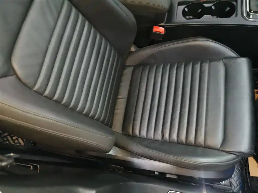 Volkswagen Magotan 2019 280TSI DSG Leading China V фото 20