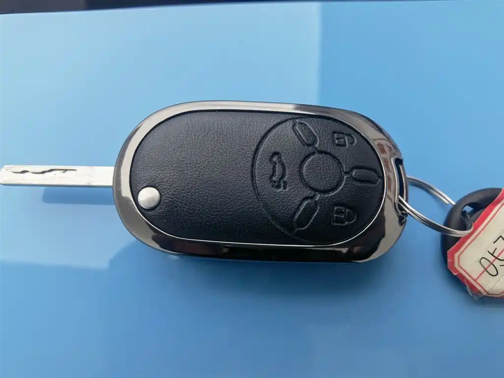 BESTUNE PENTIUM PONY