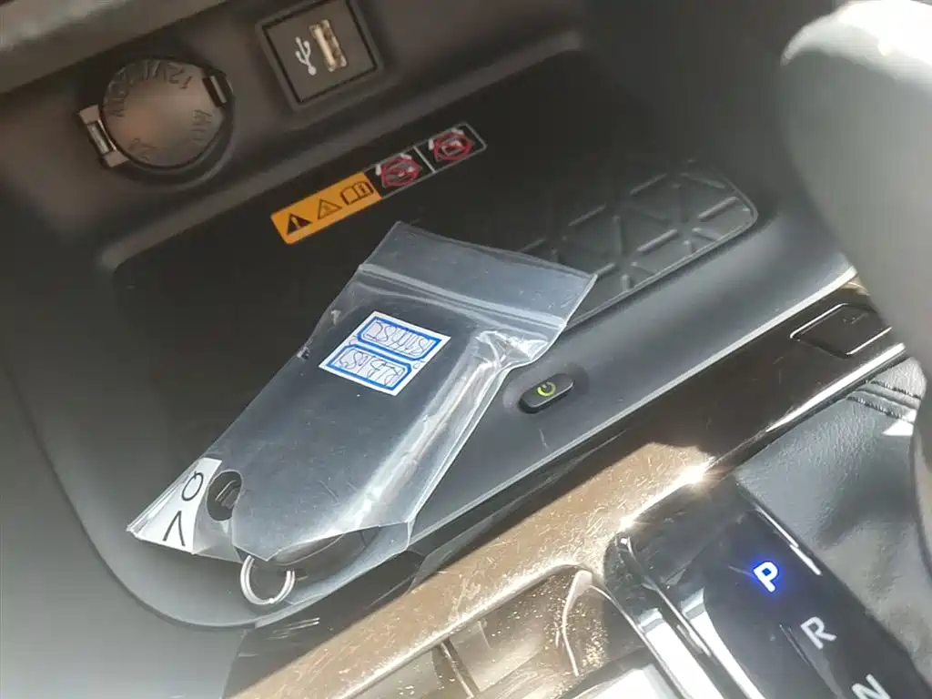 Toyota RAV4 Rongfang 2024 2.0L CVT FWD Style Plus Edition фото 9