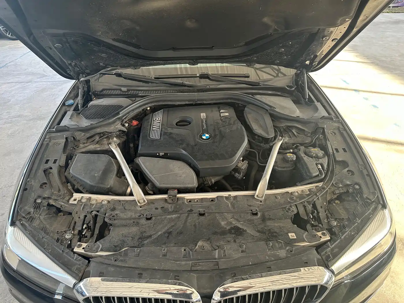 BMW 5 Series 2018 525Li Luxury Package фото 11