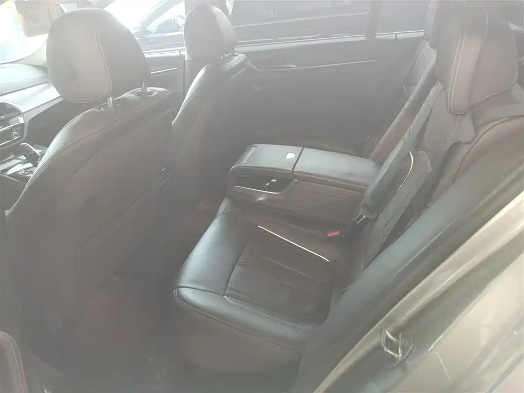 BMW 5 Series 2018 530Li xDrive Luxury Package фото 13