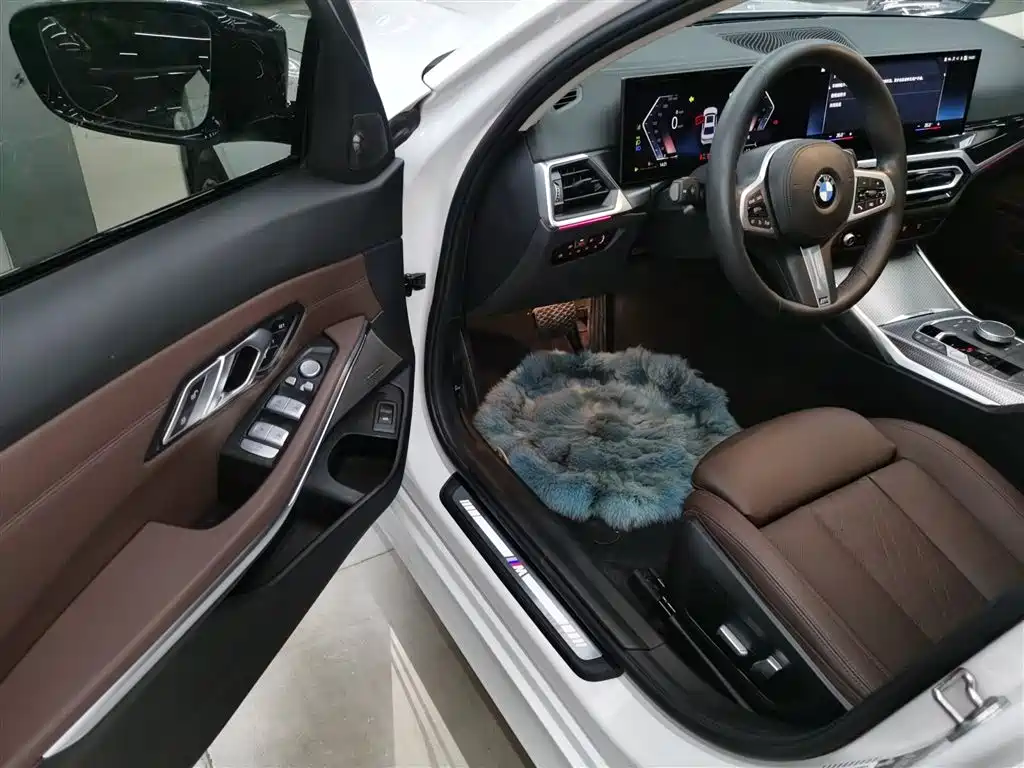 BMW 3 Series 2023 325Li M Sport Black Night Package фото 12