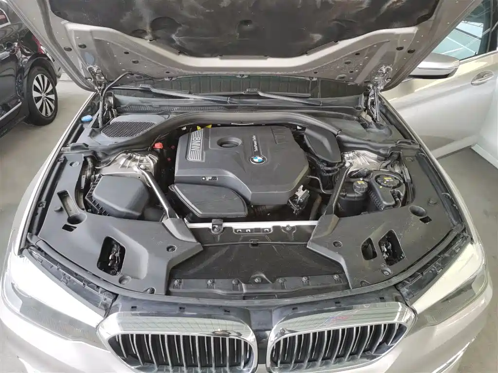 BMW 5 Series 2018 530Li xDrive Luxury Package фото 16