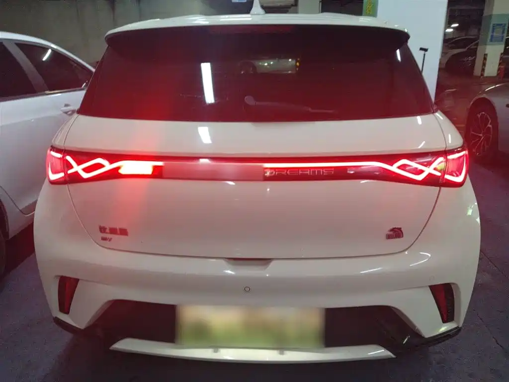 BYD Dolphin 2023 420km Freedom Edition фото 4
