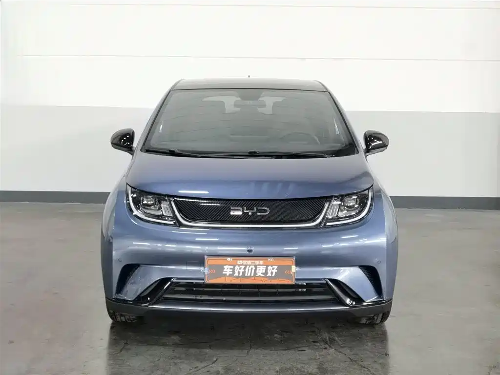 BYD Dolphin 2025 420km Fashion Edition фото 3