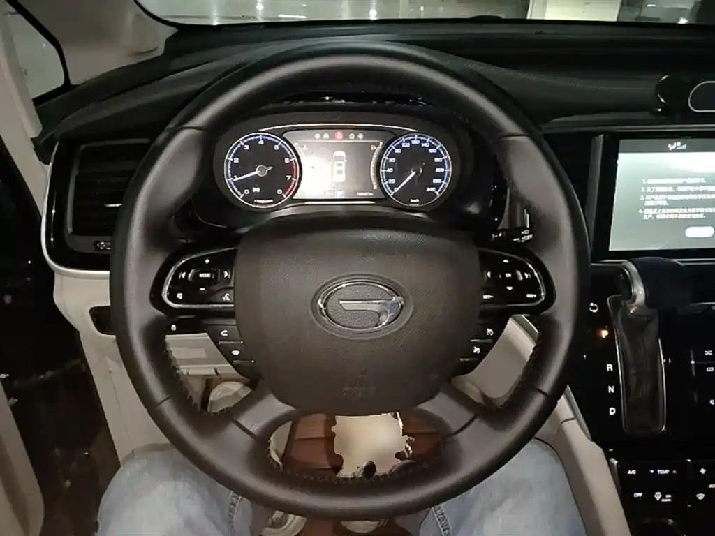 GAC Trumpchi Trumpchi M8 2018 320T Premium Edition фото 11