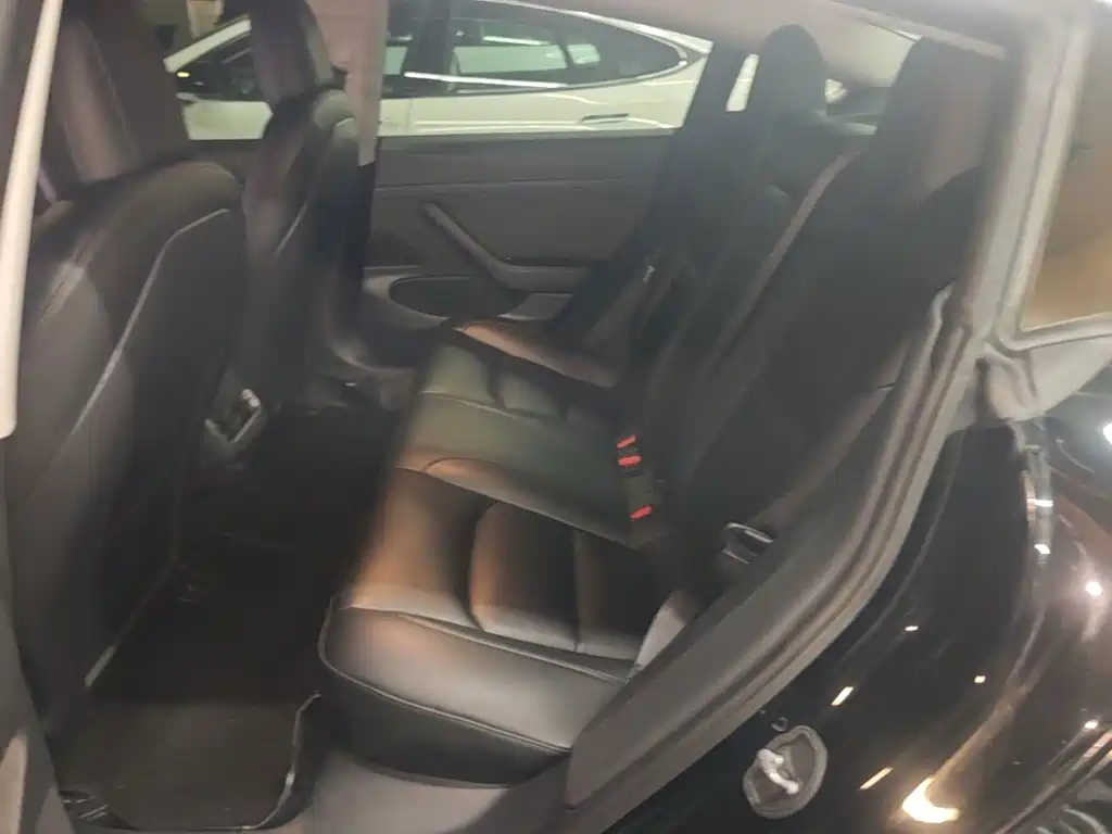 Tesla Model 3 2020 2020 Standard Range Rear-Wheel Drive Upgrade