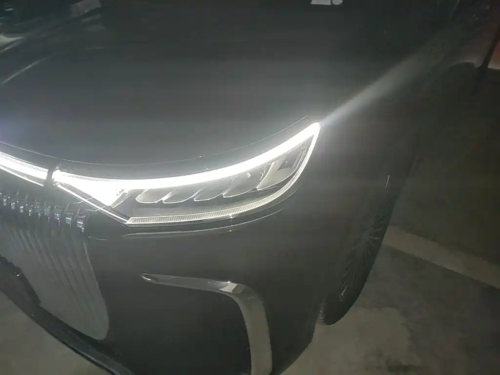 Voyah Auto Voyah Dreamer 2025 PHEV AWD Flagship Kunpeng Edition фото 24