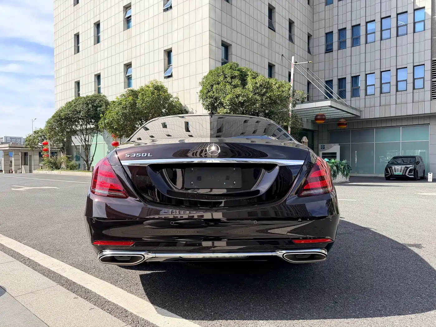 Mercedes-Benz S-Class 2020 S 350 L Premium Edition Collector's Version фото 6
