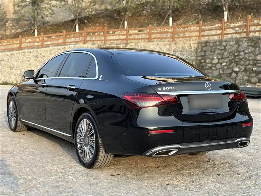 Mercedes-Benz E-Class 2023 E 300 L Luxury фото 10
