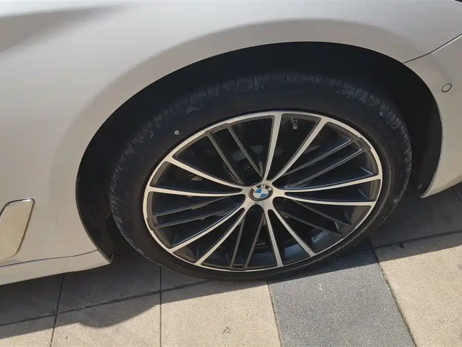 BMW 5 Series 2023 530Li Leading M Sport Package фото 6