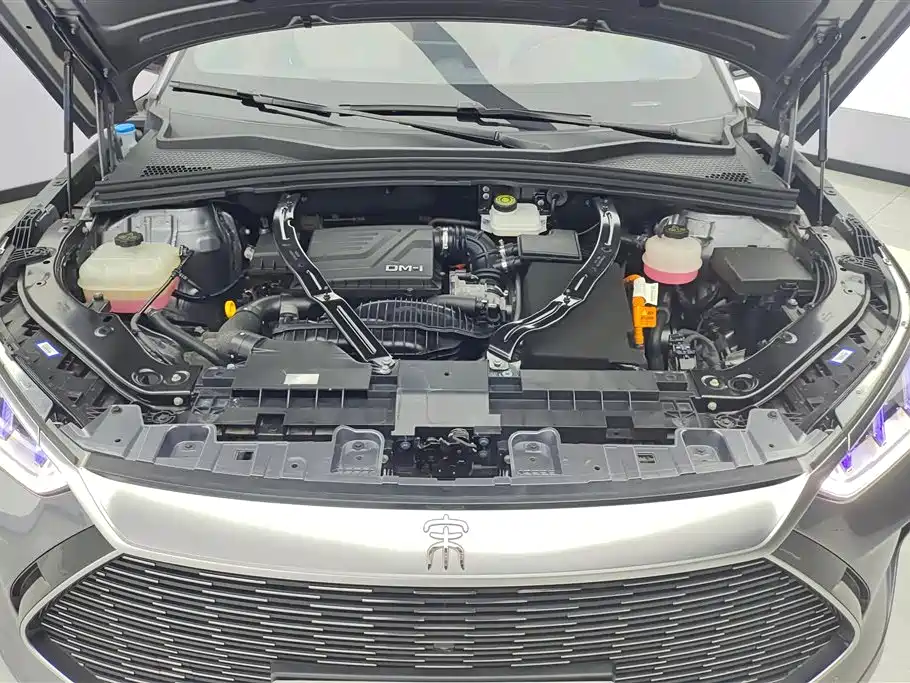 BYD Song PLUS PHEV 2021 DM-i 110KM Flagship PLUS фото 10