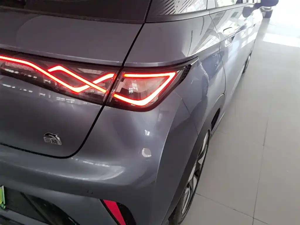 BYD Dolphin 2023 401km Knight Edition фото 24