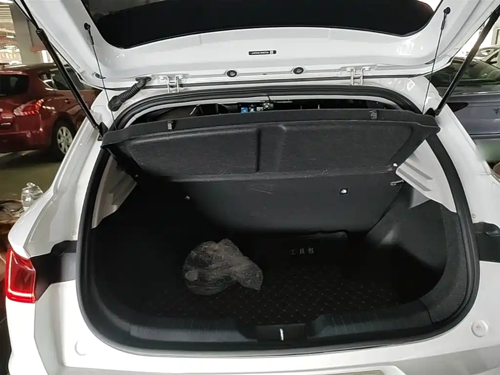 BYD e2 2021 Luxury Edition фото 19
