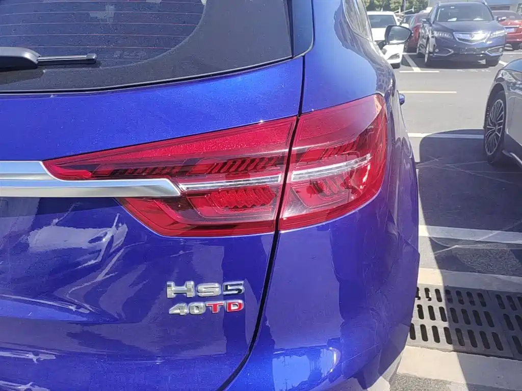 Hongqi HS5 2019 2.0T Smart Connect Enjoy Edition фото 8
