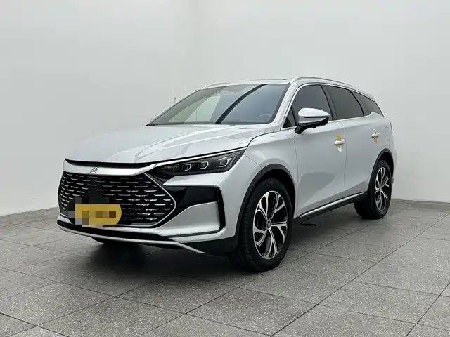 BYD Tang New Energy 2025 DM-i 115KM Prestige Type