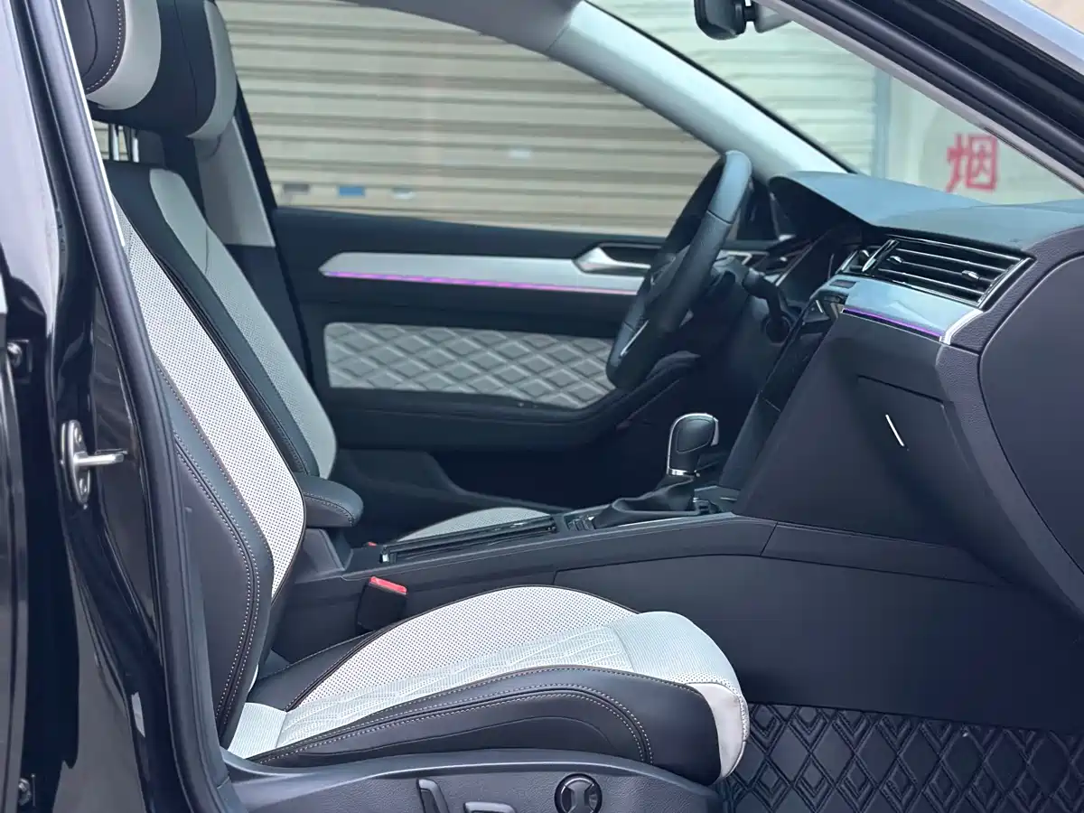Volkswagen Magotan 2025 Facelift Public Edition 330TSI DSG Luxury фото 13