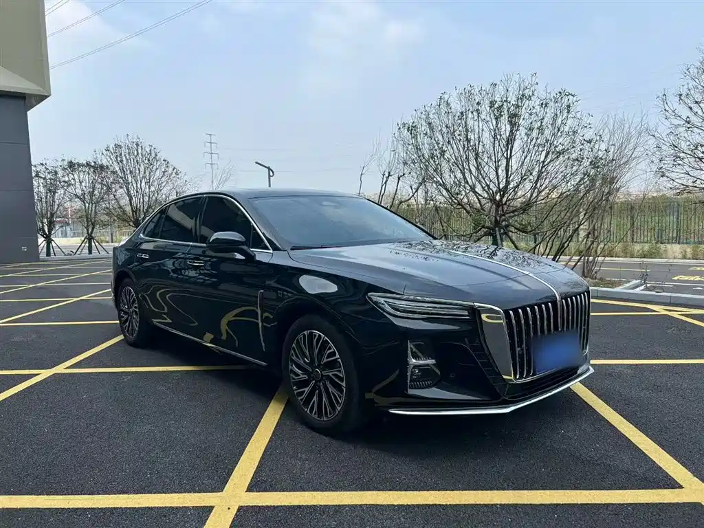 Hongqi H5 2025 2.0T Automatic Flag Celebration 500,000 Units Anniversary Edition фото 24