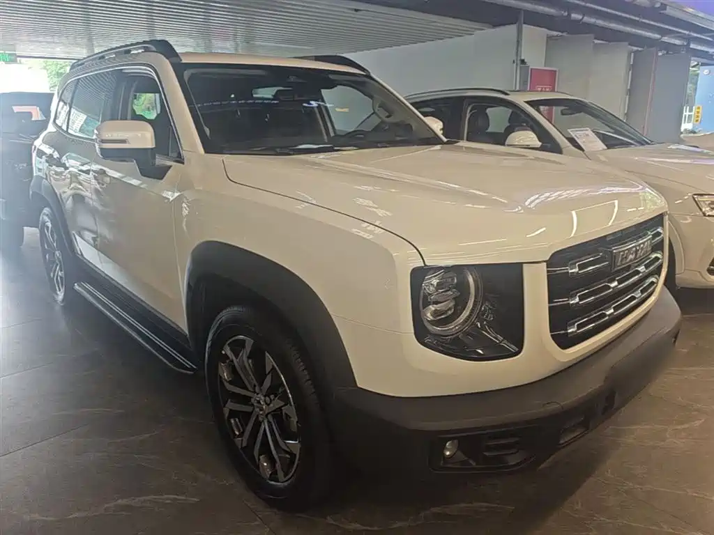 Haval Big Dog 2022 1.5T DCT FWD Border Collie Edition фото 4