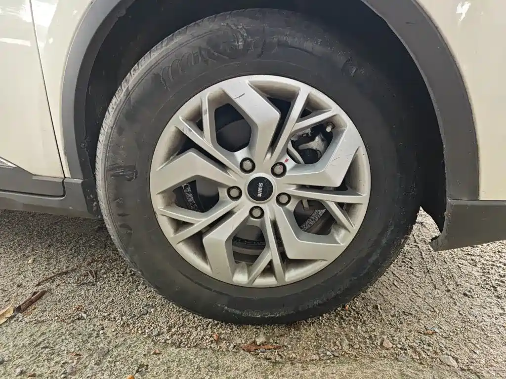 SWM Motor SWM G05 2020 2019 2.0L Manual Luxury Model