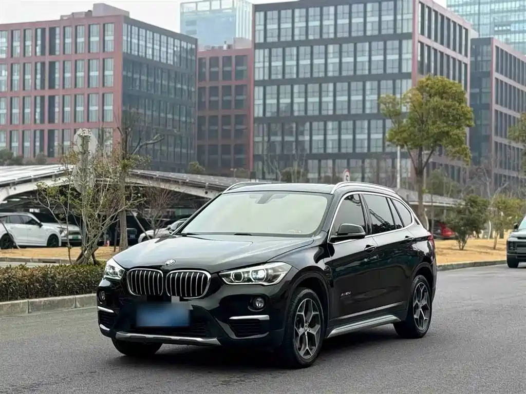 BMW X1 2018 xDrive20Li Premium Model фото 2