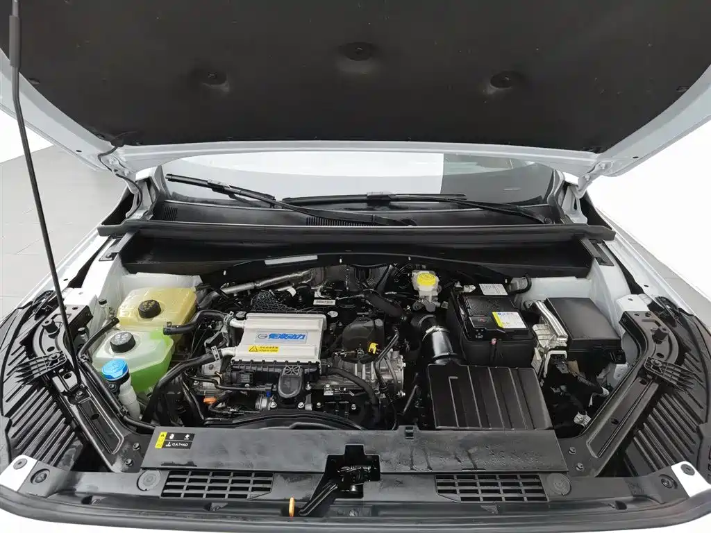 GAC Trumpchi Trumpchi GS4 2024 MAX 1.5T Flagship Edition фото 6