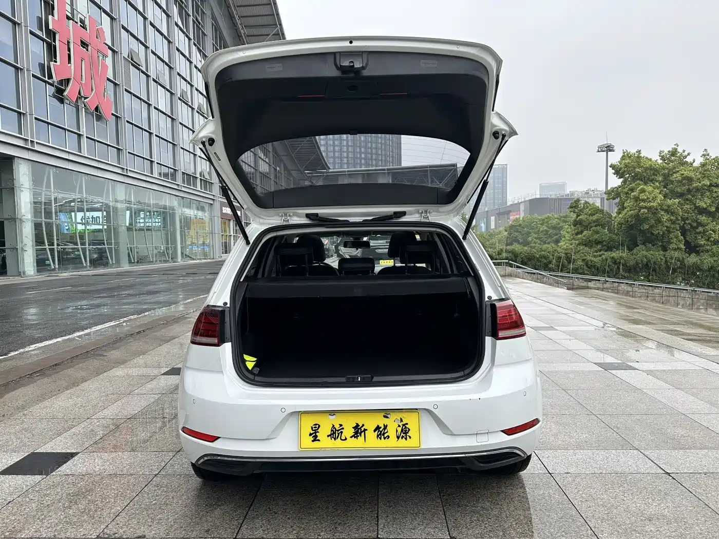 Volkswagen Golf Electric 2020 Chi Pro фото 9