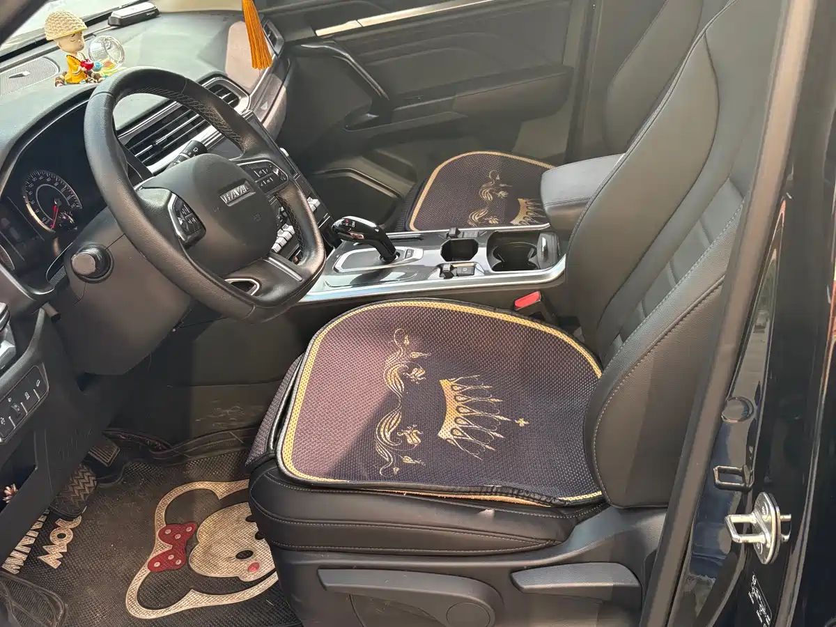 Haval F5 2019 National Trend Edition 1.5T iStyle China VI фото 7
