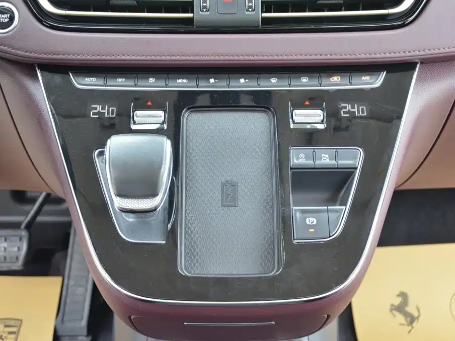 Фото 8 - Hongqi HQ9