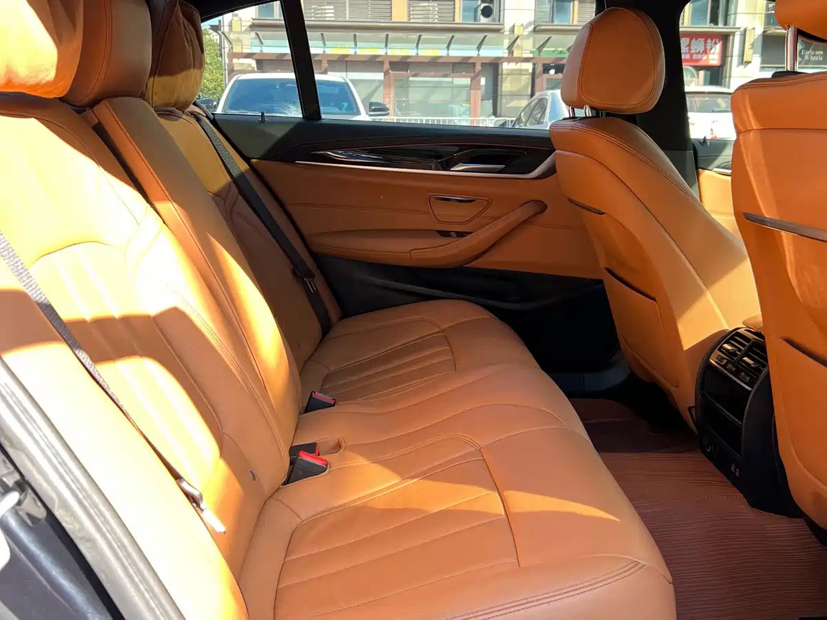 BMW 5 Series 2020 530Li Leading M Sport Package фото 10
