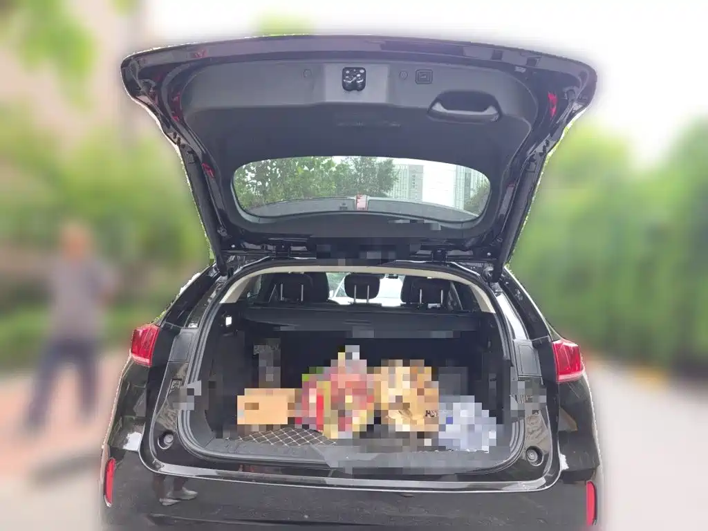 WEY VV7 2019 2019 Upgraded 2.0T Flagship China VI