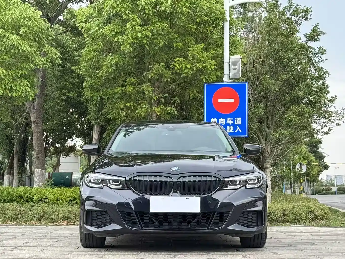 BMW 3 Series 2020 325Li M Sport Black Night Package фото 2