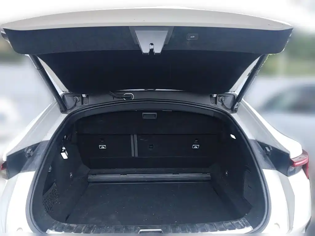 Polestar 4 2024 2024 Dual Motor Long Range PLUS Twin-Star Connected Edition