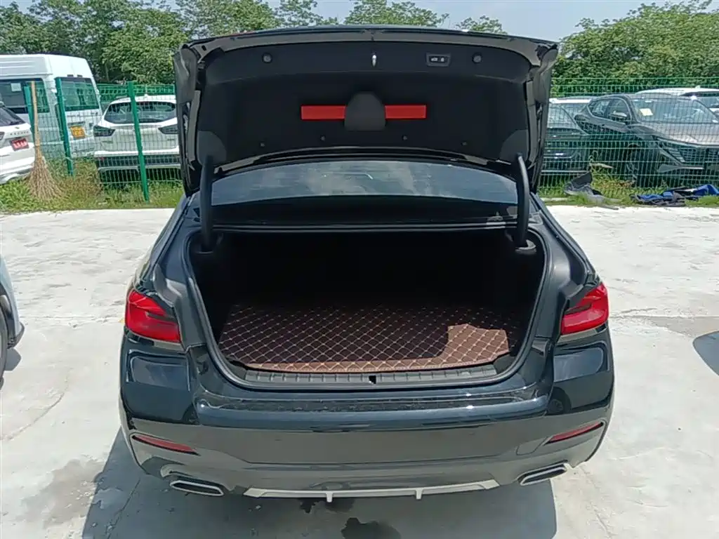 BMW 5 Series New Energy 2021 535Le M Sport Package фото 19