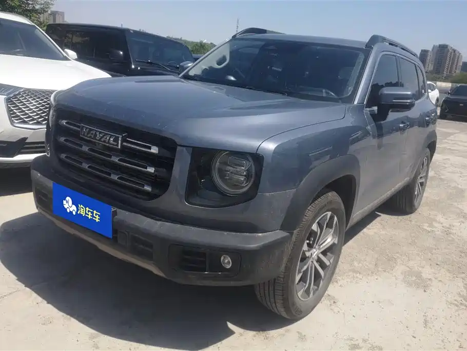 Haval Big Dog 2021 1.5T DCT 2WD Border Collie Edition