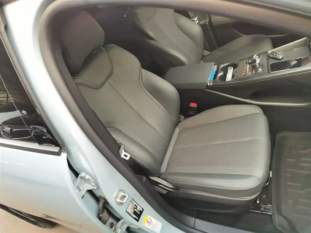 BYD Qin PLUS 2025 DM-i Smart Drive 55KM Leader фото 25