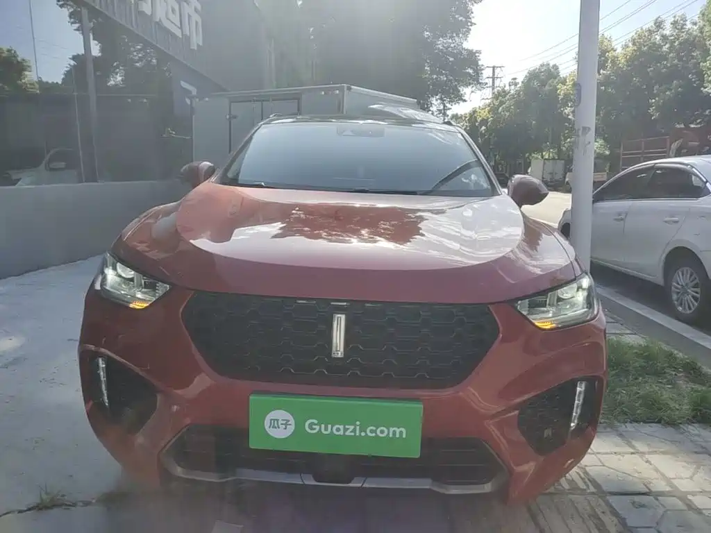 WEY VV5 2017 2017 2.0T Flagship Model