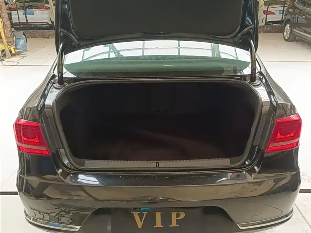 Volkswagen Magotan 2016 1.8TSI Smart Leading фото 19