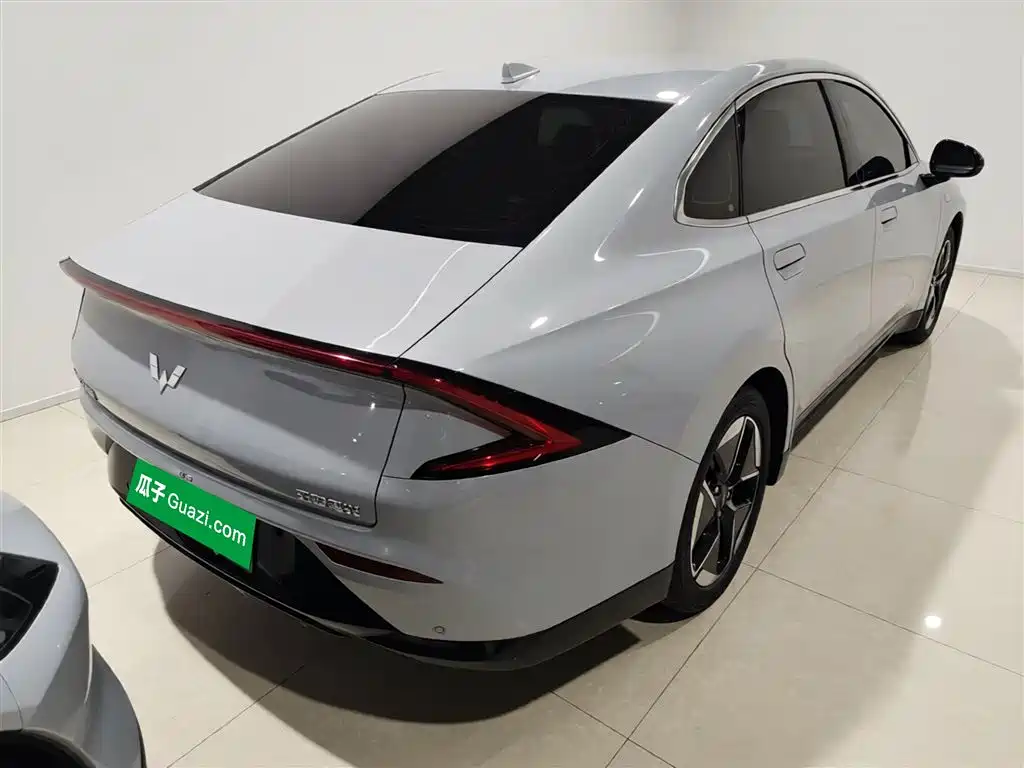 Wuling Motors Wuling Xingguang 2024 2024 Co-creation Edition 510 Advanced
