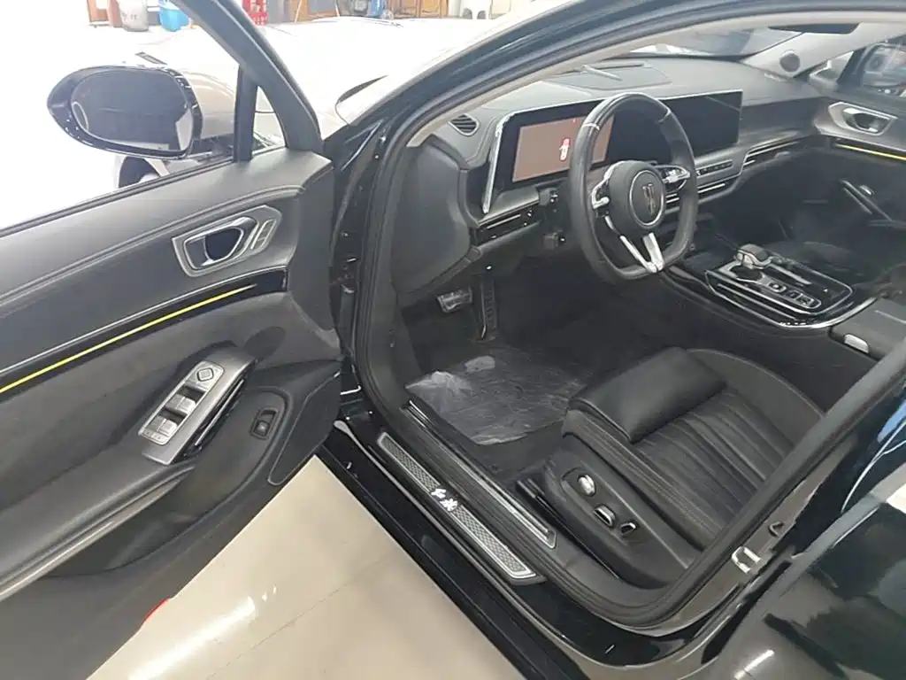 Hongqi H9 2025 2024 2.0T Qi Enjoy Private Fashion Edition